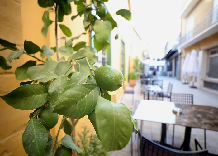 Madama 5* ニコシア